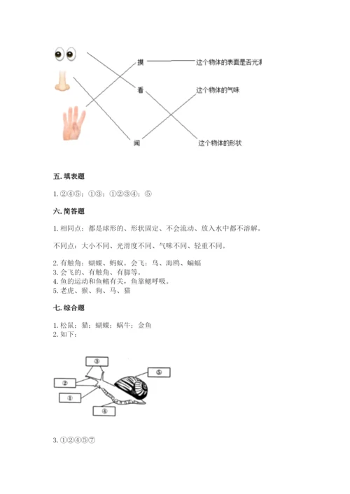 教科版一年级下册科学期末测试卷加答案.docx