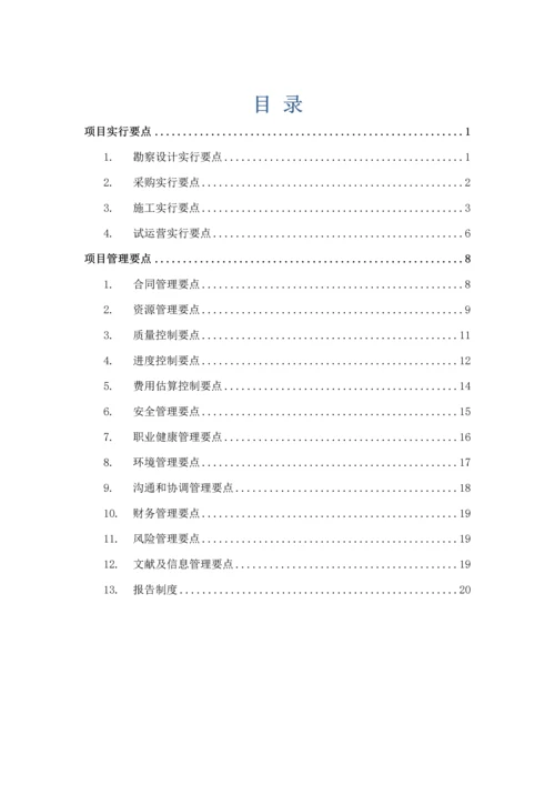 专项项目实施及管理核心要点.docx