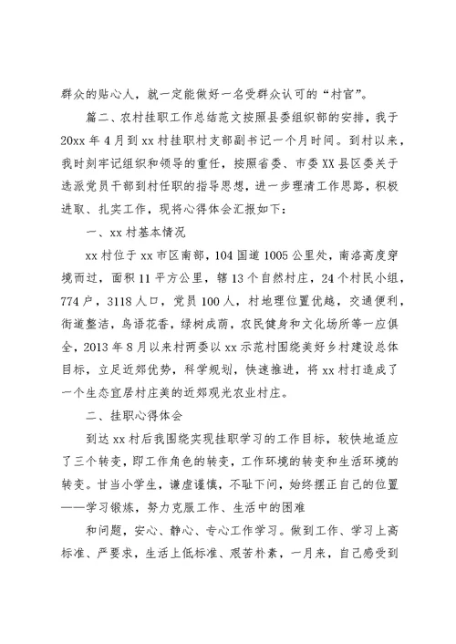 农村挂职工作总结范文