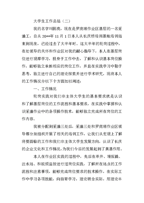-XX年大学生工作总结