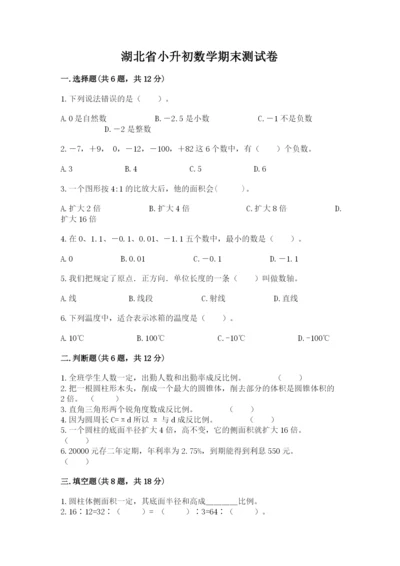 湖北省小升初数学期末测试卷及1套完整答案.docx