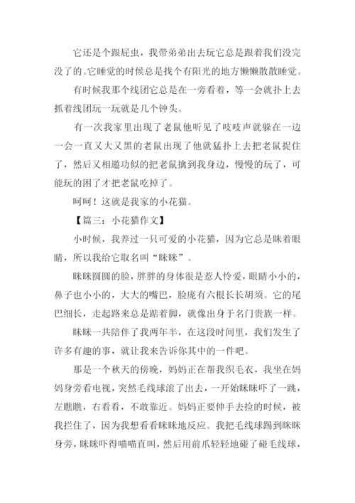 小花猫的作文.docx