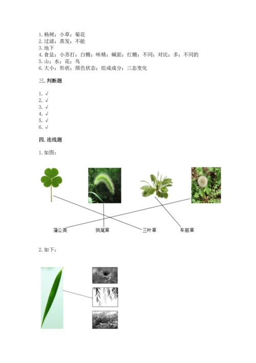 教科版科学一年级上册第一单元《植物》测试卷重点.docx