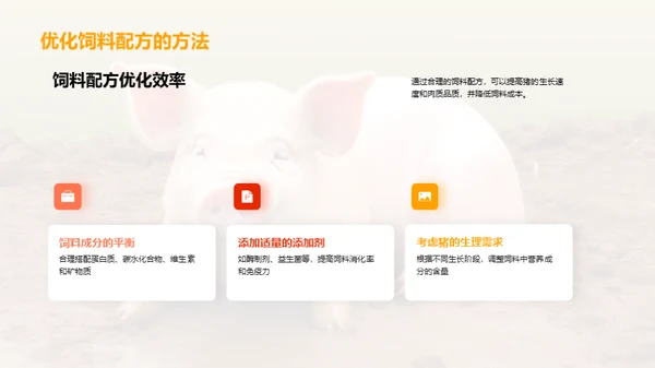 养猪新视角：效率与品质双提升