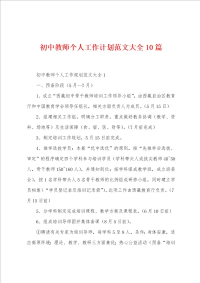 初中教师个人工作计划范文大全