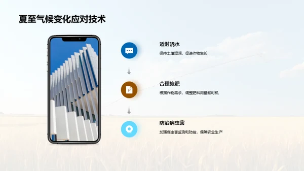 夏至气候与农业策略