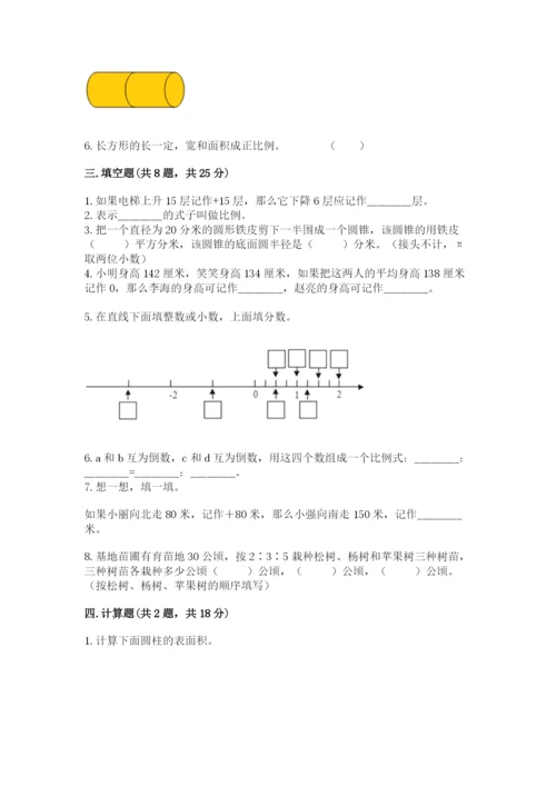 北师大版六年级下册数学期末测试卷精品（能力提升）.docx