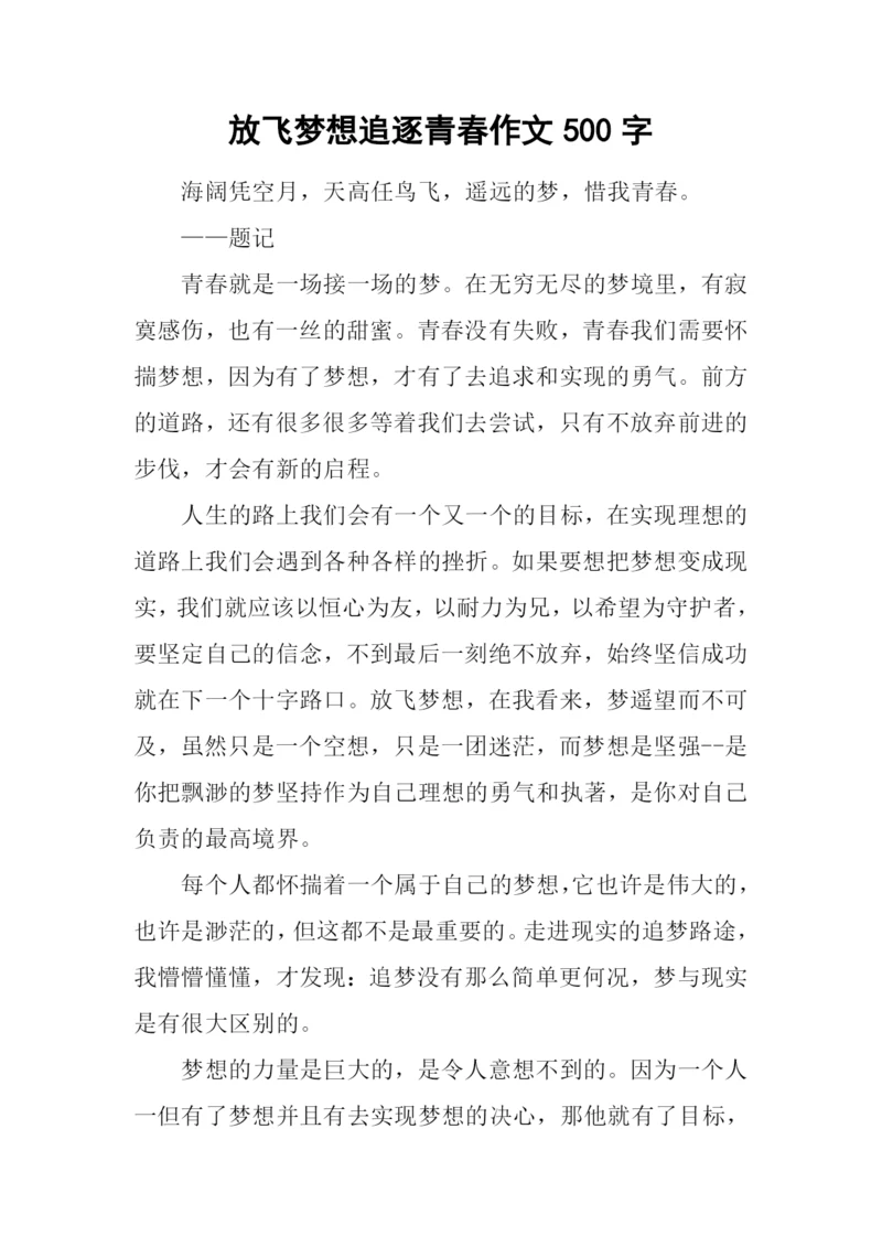 放飞梦想追逐青春作文500字.docx