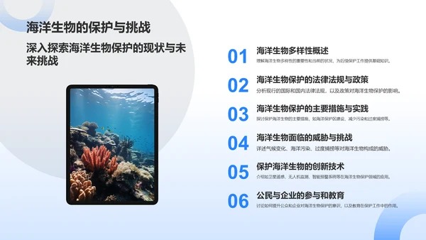 蓝色摄影风海洋生物知识科普PPT模板