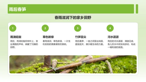 绿色摄影风山水田园梦：家乡旅游印象集PPT模板