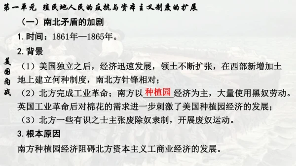 第一单元 殖民地人民的反抗与资本主义制度的扩展  单元复习课件