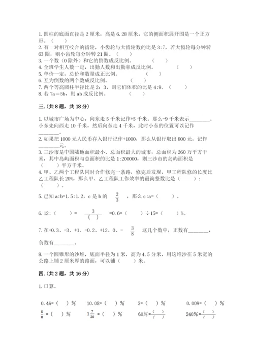 小学六年级下册数学摸底考试题含完整答案【夺冠】.docx