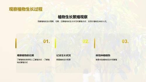 商务风教育培训教学课件PPT模板