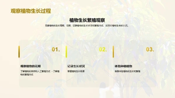 商务风教育培训教学课件PPT模板
