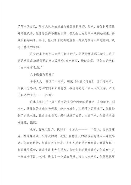 六年级根鸟有感400字五篇