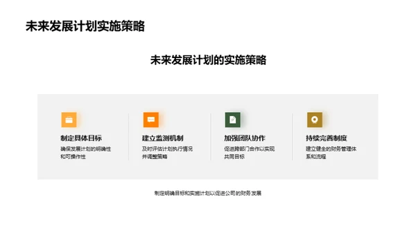 财务回顾与未来规划