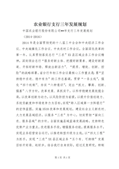 农业银行支行三年发展规划 (6).docx