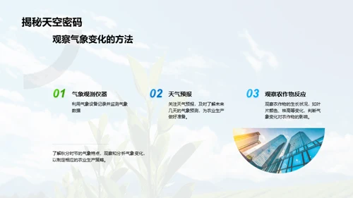 秋分气象与农业