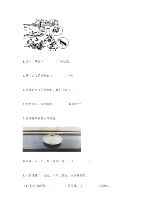 教科版一年级下册科学期末测试卷【考点提分】.docx