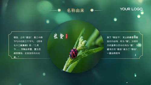 绿色中国节气之惊蛰PPT模版