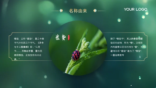 绿色中国节气之惊蛰PPT模版