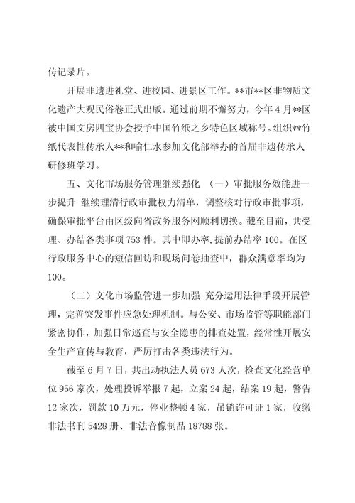 区文广新局20xx年度上半年工作总结