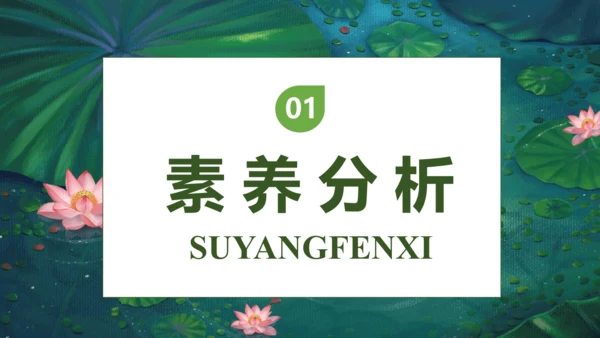 【核心素养】部编版语文三年级下册-3. 荷花 第1课时（课件）
