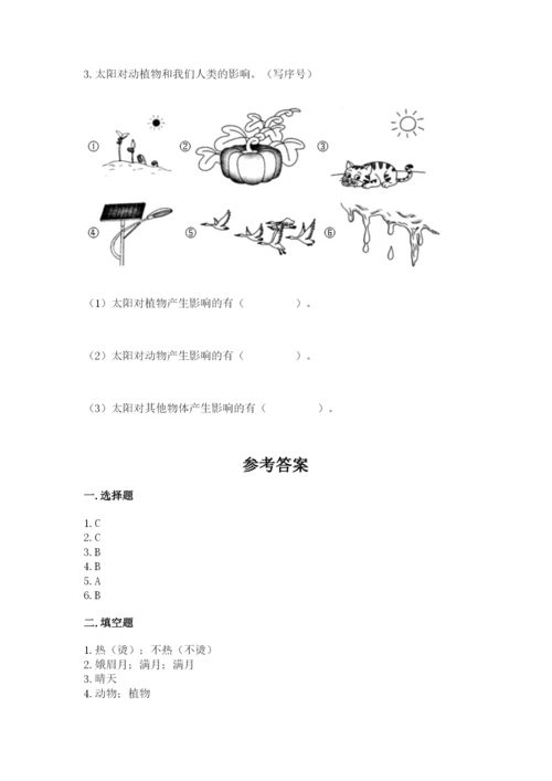 教科版小学二年级上册科学期末测试卷【考点精练】.docx
