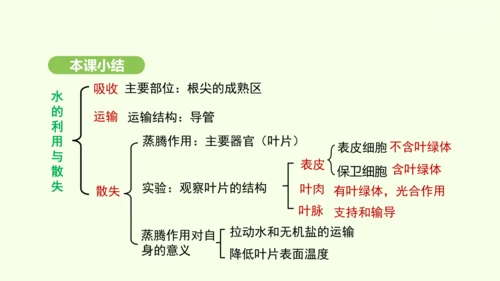 第三单元-第二章-第一节-水的利用与散失课件-2024-2025学年七年级生物下学期人教版(2024