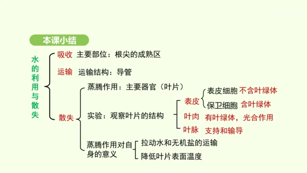 第三单元-第二章-第一节-水的利用与散失课件-2024-2025学年七年级生物下学期人教版(2024