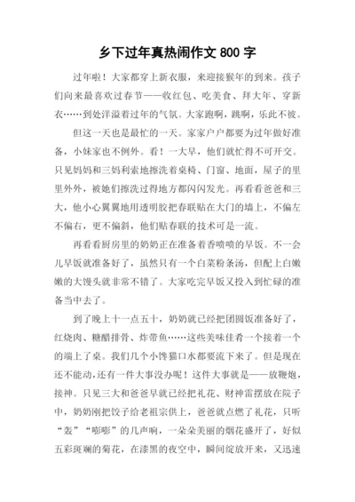 乡下过年真热闹作文800字.docx