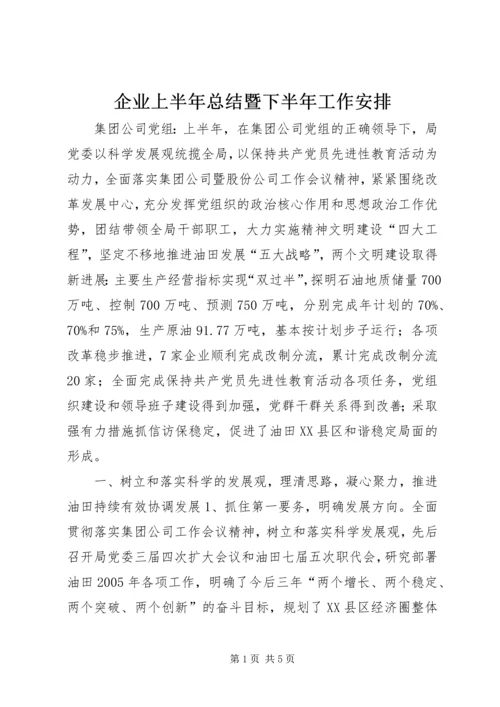 企业上半年总结暨下半年工作安排.docx