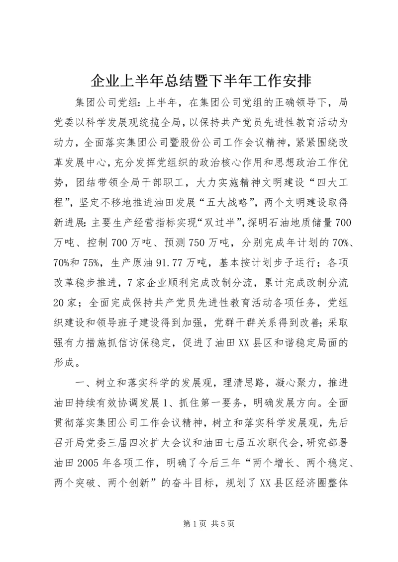 企业上半年总结暨下半年工作安排.docx