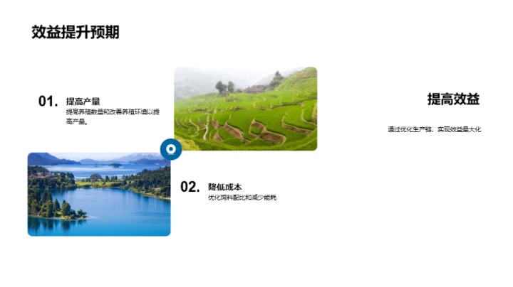 牧场运营与效益提升