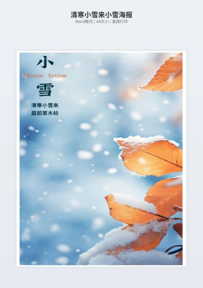 清寒小雪来小雪海报