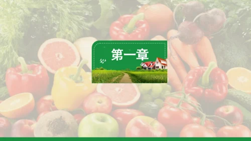 新农村和谐发展乡村振兴通用PPT模板
