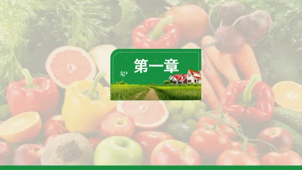新农村和谐发展乡村振兴通用PPT模板