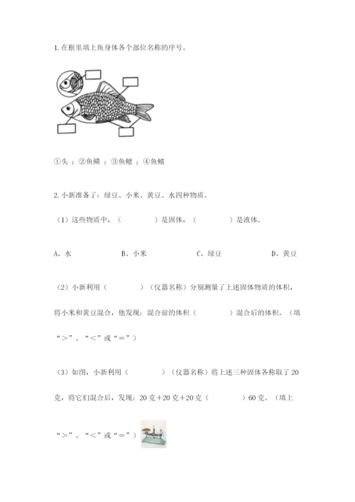 教科版小学科学一年级下册期末测试卷（综合题）.docx