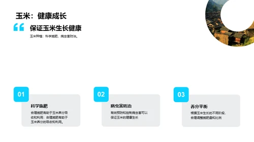 走进科学种植，提升玉米产量