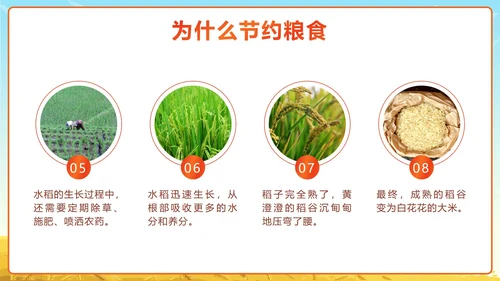 黄色卡通勤俭节约理性消费珍惜粮食带内容PPT模板