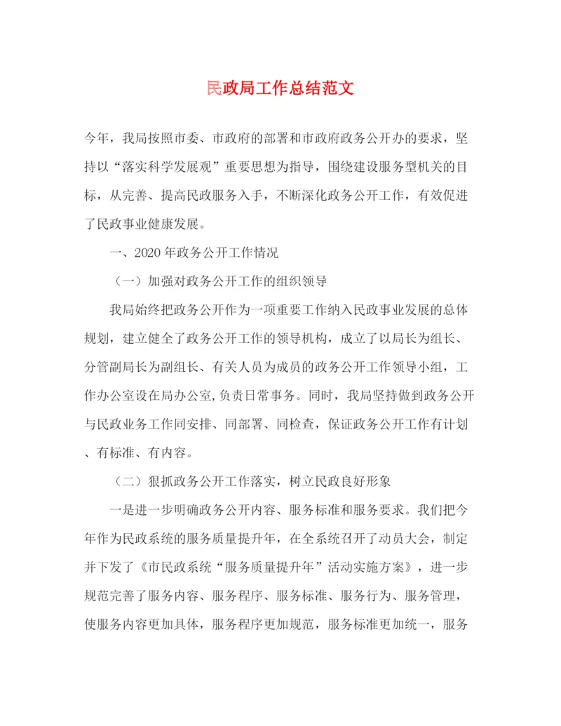 精编之民政局工作总结范文.docx