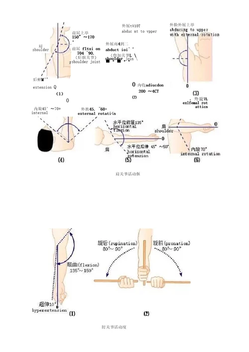 完整版图文,关节活动度测量方法和正常范围