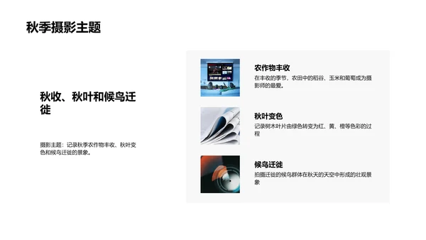 秋分摄影分享会PPT模板