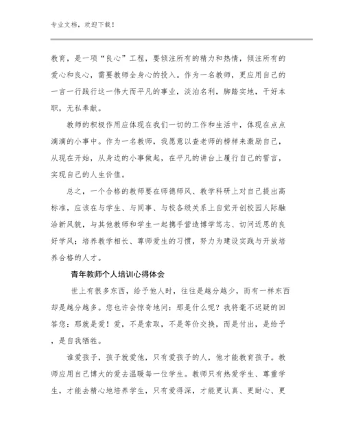 2024青年教师个人培训心得体会例文21篇.docx