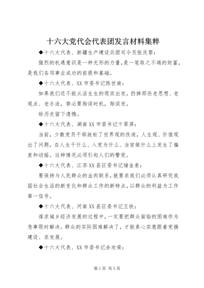 十六大党代会代表团发言材料集粹 (3).docx