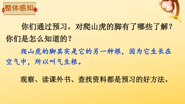 10 爬山虎的脚   课件