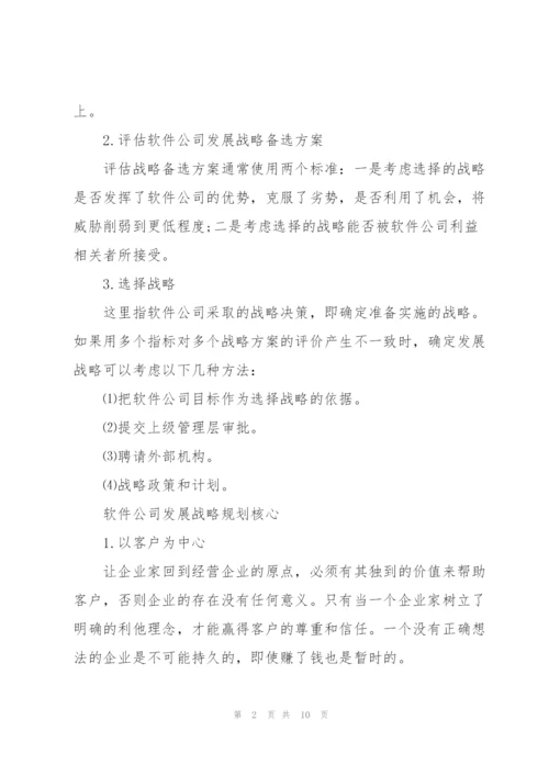 软件公司发展战略规划.docx