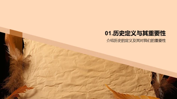 揭秘历史之魅力