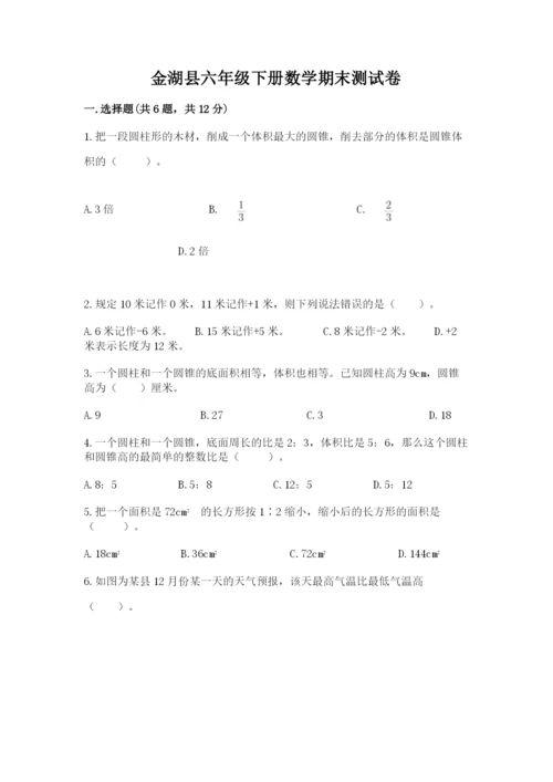 金湖县六年级下册数学期末测试卷（名校卷）.docx