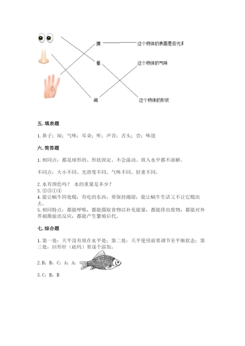 教科版一年级下册科学期末测试卷附参考答案（综合卷）.docx